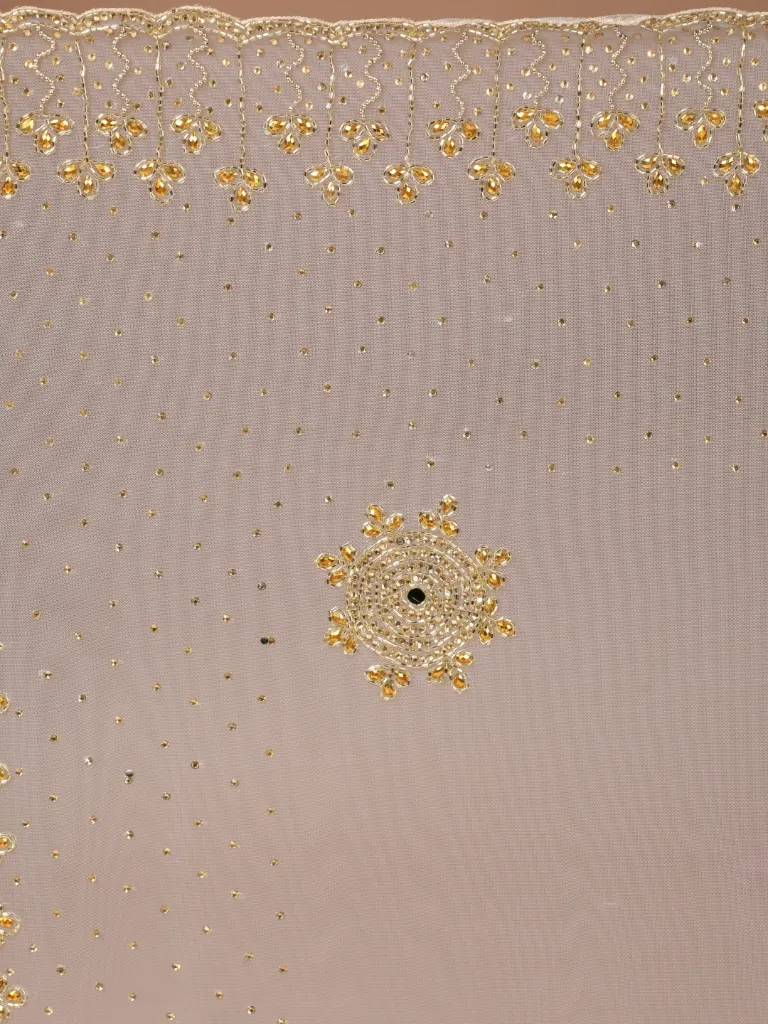 Pallu Shot-2 (2).webp