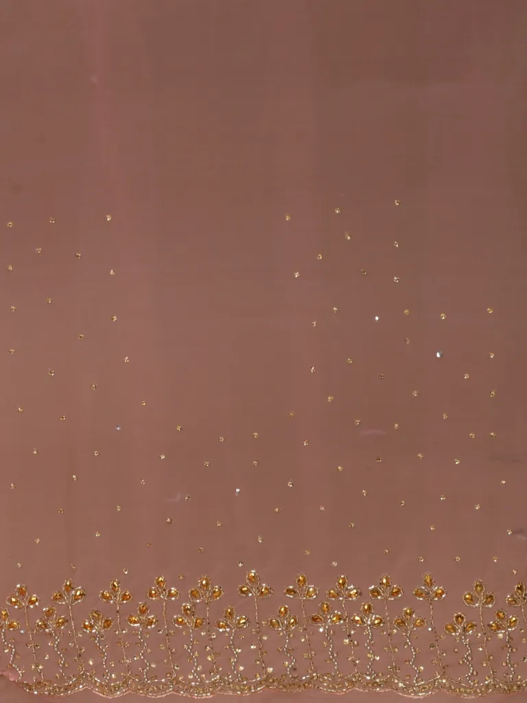 Pallu Shot-2 (1).webp